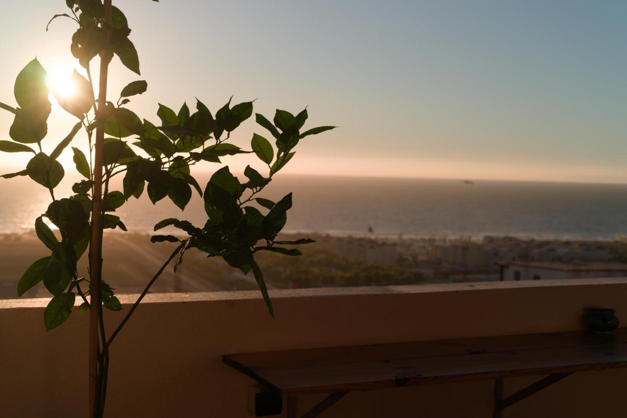 Monkey's - Ocean View & With Rooftop Apartment